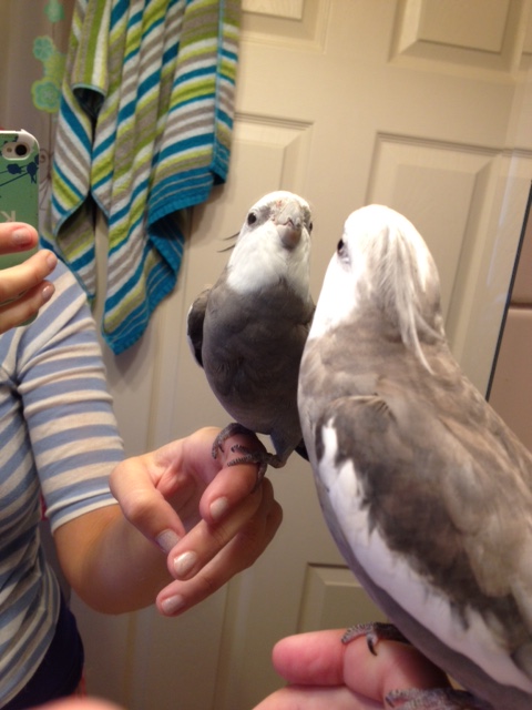 But we have each other - and prettiness! And we have our mommies and our grandparents and WAFFLES!