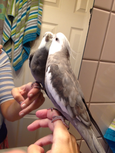 Well, thank you - I've missed you too!