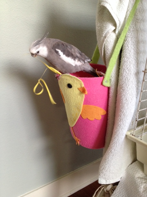 Okay, what about you? Are you soft and durable enough to stay?