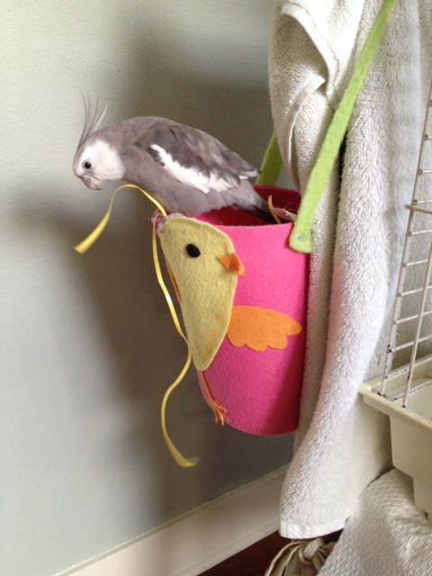 I don't know - you're not convincing me.