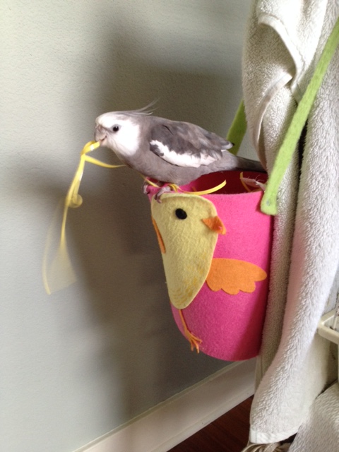 I will put it through its paces - only the best strands will make the final cut and competition is fierce!