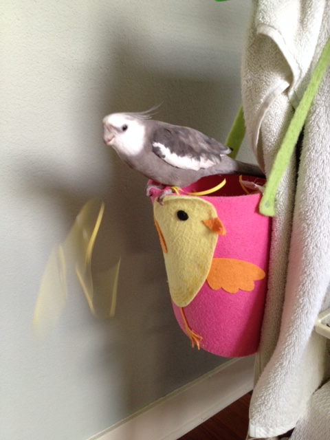 You didn't make the cut. Sorry.