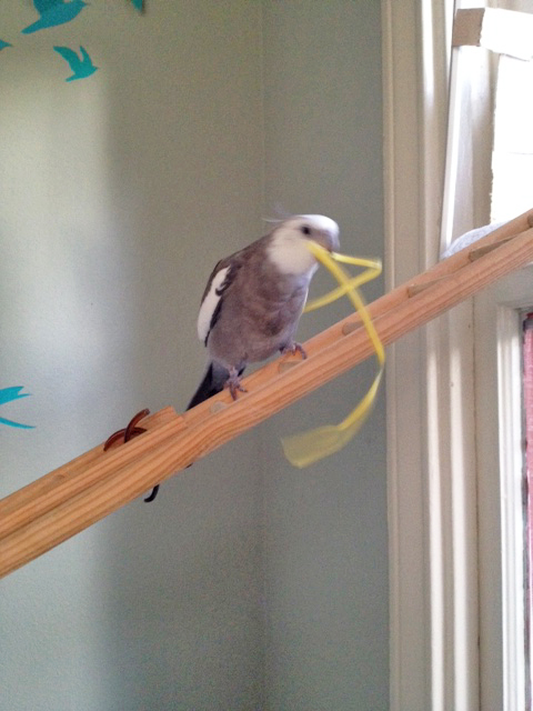 Please hold your "ooohs" and "aaahs" until the end.