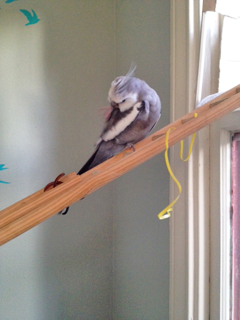 Just a few last-minute touchups....