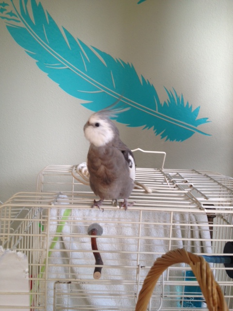 Every direction receives equally scrutiny.