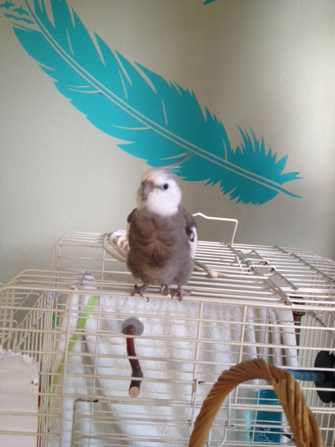 His many years of "Bond level" covert training have made him immune to fear, pressure, or distraction.