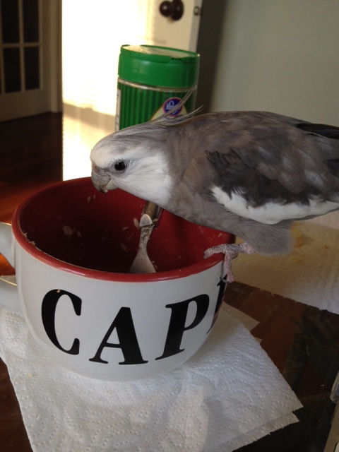 I'm in the mood to play a fun game of "Go Fish."