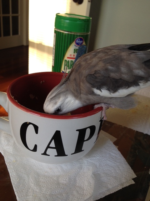 Let's see....I'm sure there is something in here I can use.