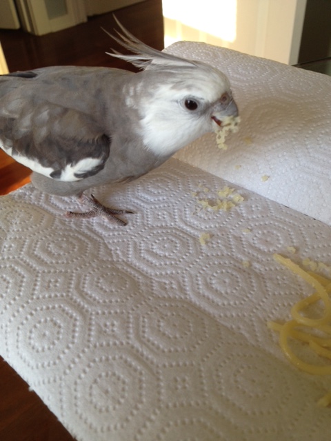 Now for my favorite part of the fine dining experience - the "flingable test."