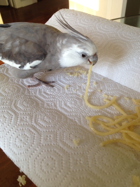 Yes - my sensitive palate tells me it is every bit as tasty as I remembered it to be.