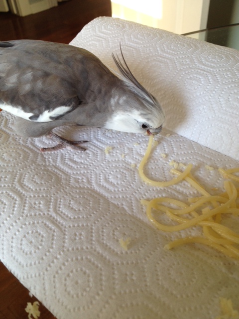 This looks very soft and tender and flavorful - just the way I prefer it.