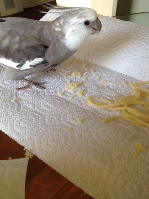 Mom - you can make this dish again anytime - I think you're finally getting the hang of it!