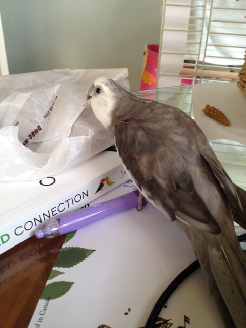 Boy, this holding cell is surprisingly thick and crispy.