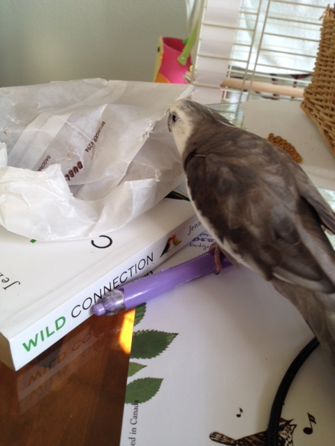 Don't worry! I'll free you!