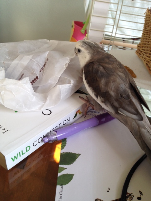 What do we have here?