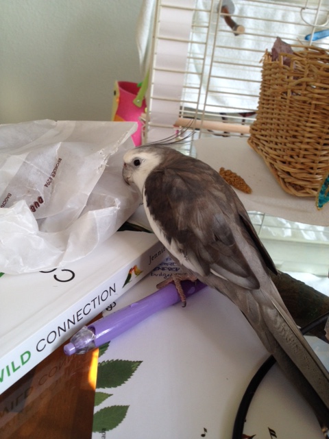 I hear sounds of distress.