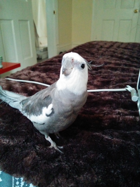 Soft and cushy under my fetching pink feet - just like I prefer. Overall, I rate the customer service a full 5-stars!