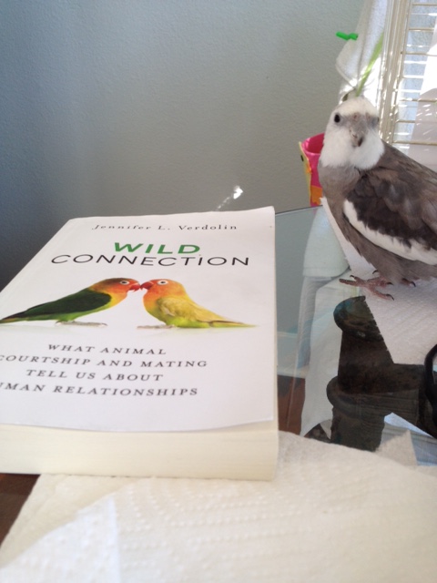 What's that, Mom? You want me to give it my usual once-over? 