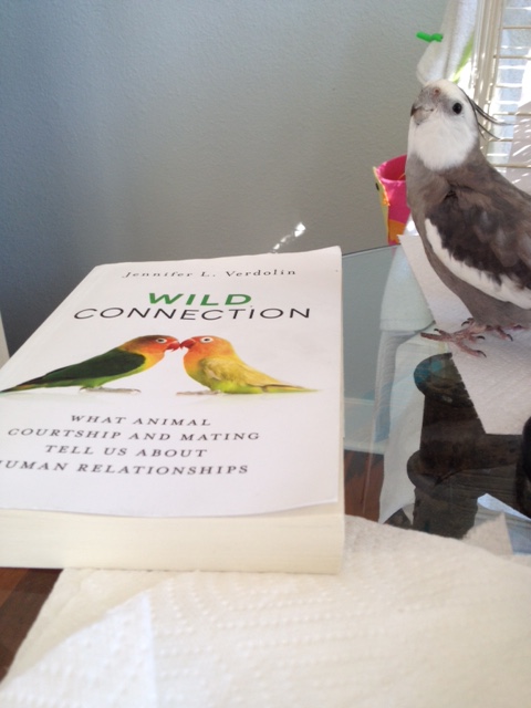 What do you mean by "contents?" 