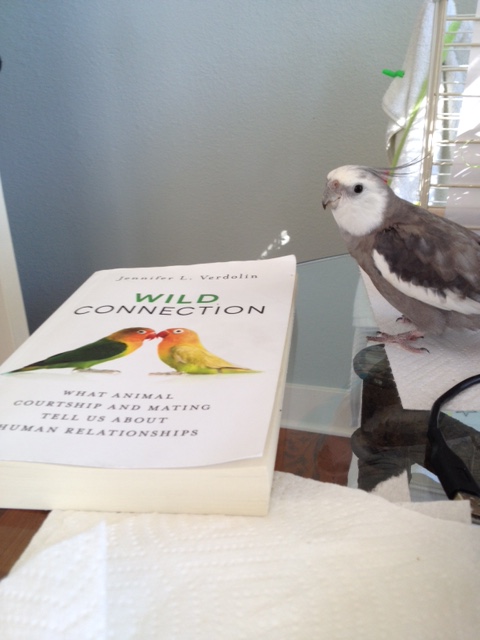 I see we have a new book in for review.