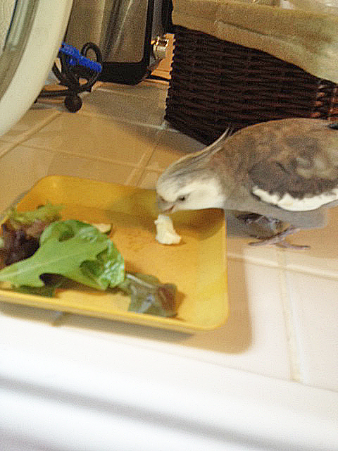 The more I consume, the stronger my "alpha" status becomes.