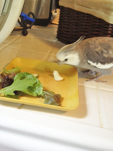 Mmmm mmm mmm! Hard-boiled egg - my favorite!