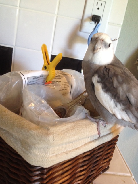 Of course, I may have to consume a bit of what is missing - just so I know exactly what I am looking for.....