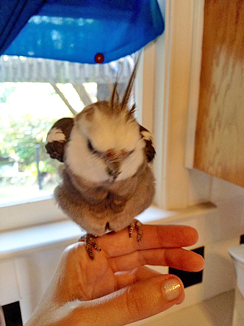 ....or edgy and "alternative".....