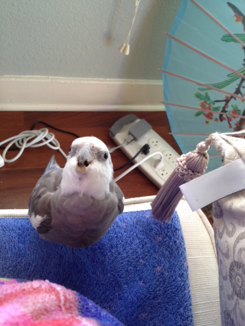 Now let's do a photo together featuring "fierceness."