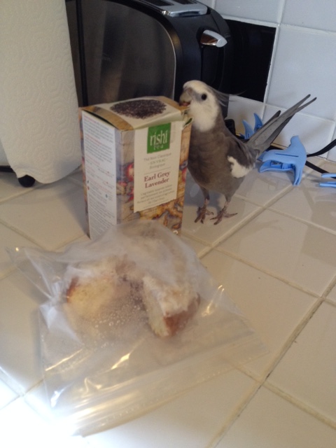 Okay, Mom, I'll go over it again. Are you watching? 