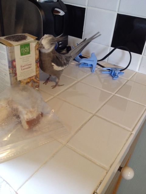 Then crunch your way forward, working your way around the flavorful box.