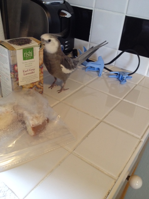 Got it? Now you try!