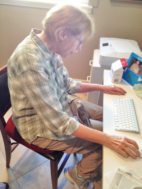 Oh good - I can tell I've already been helpful by how Grandma is focused so intently on my input.