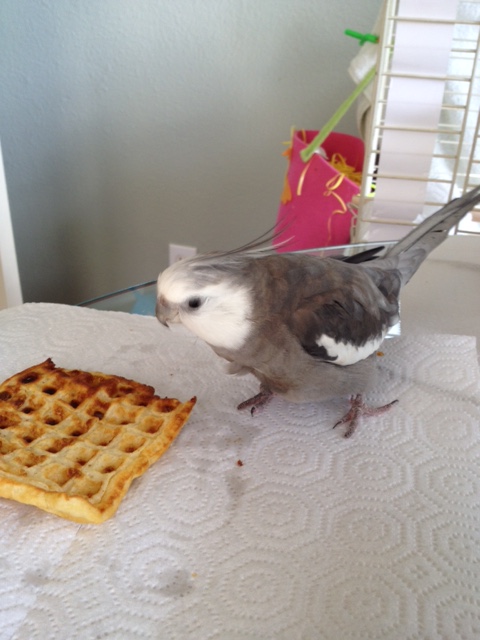 Well this looks delicious. My prop, you say? It is a very nice prop. I might just have to customize it a little first.