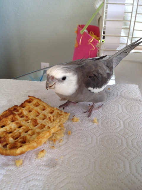 I call this design "interpretive waffle."