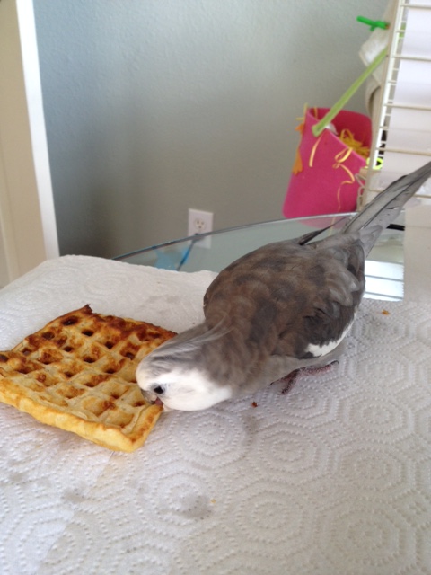 I'll just start along the edges here. You can keep the cameras rolling.