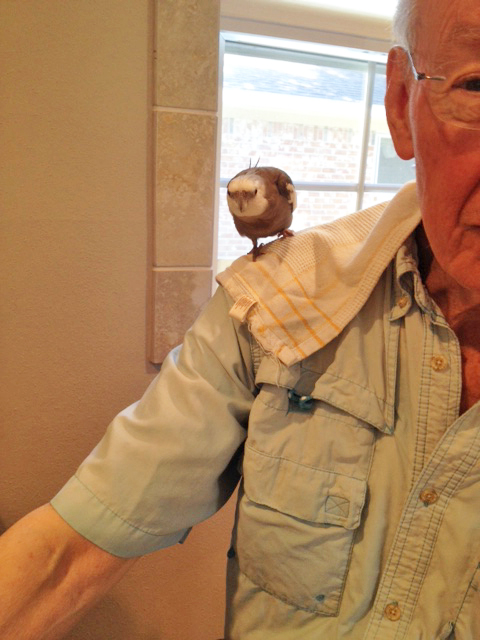 Grandpa! Grandpa! OOooh! Oooh! That one! I want that one - the one that is shaped like a waffle!!