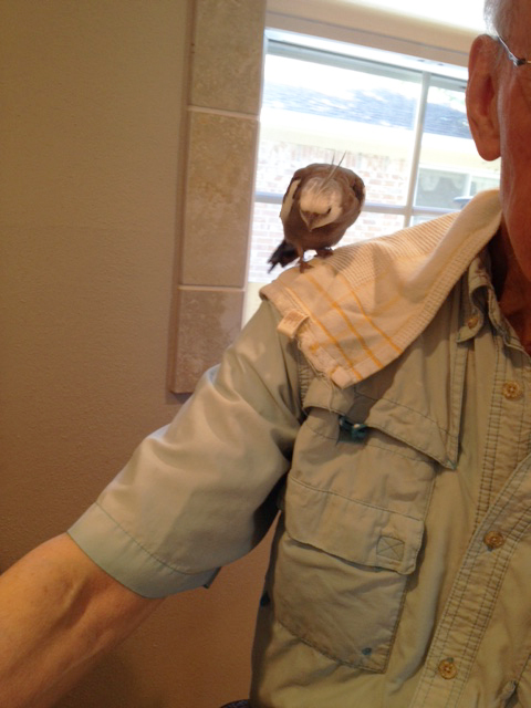 Here, Grandpa - I'll point right at it with my beak to show you!