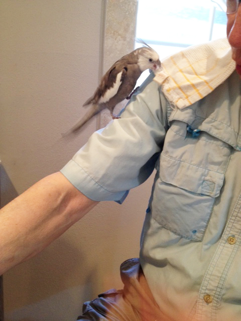 Here, Grandpa - I'll use my tail and point at it - does that help?