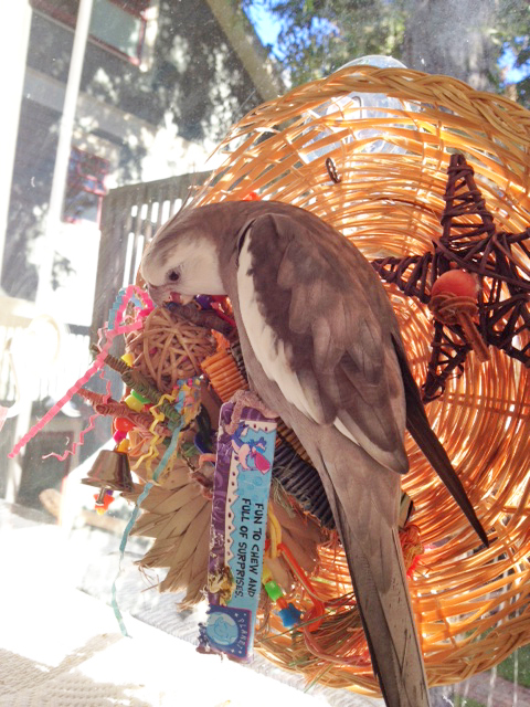 Ah, yes. I was just making some minor adjustments to this section over here.