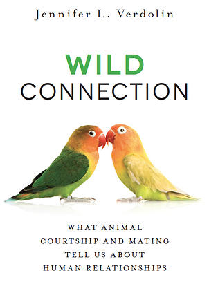 WildConnectionBook