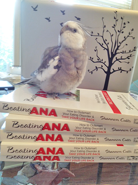 Looks like Mom needs my help again. I will just pose and look very feathery and fluffy so she will sell more books.