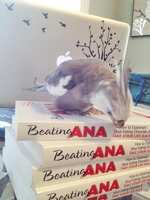 The binding is smooth and shiny - if I look closely, I can almost make out the fetching and feathery reflection of someone I know!