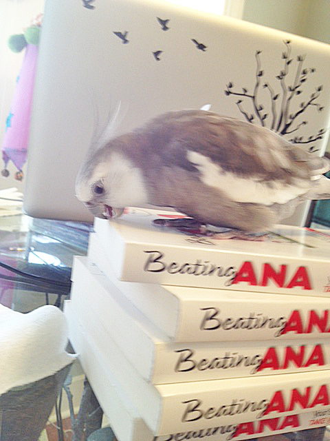 Well, so far, so good - the cover is nice and crispy - paper quality is excellent.