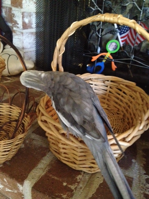 And this one is much too delicate - where's the challenge in remodeling such a flimsy thing?