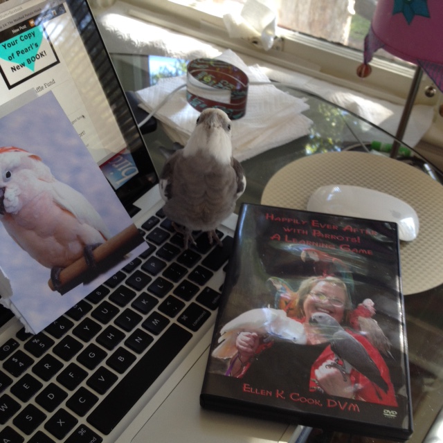 A "training video," you say? Oh good - I've been meaning to enroll you in some more training. Please thank her for me!