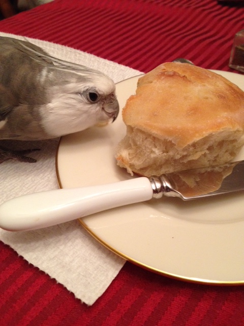 Wow. This looks delicious. So round. So fluffy. So crispy. 