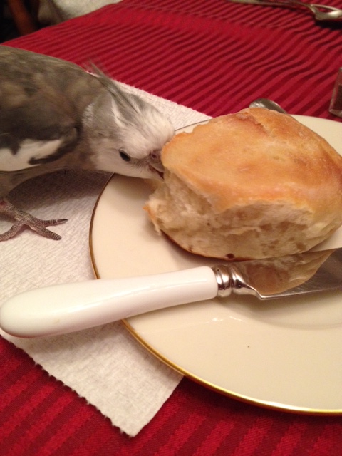 And now a delicate nibble.