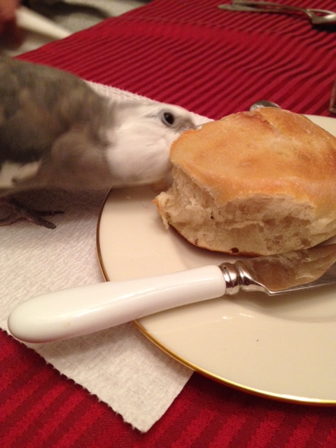 And a less-delicate nibble.....