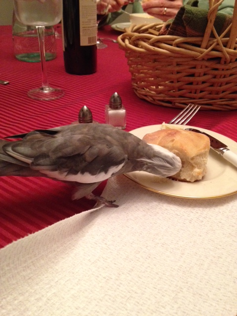 I hope Mom's getting the message....